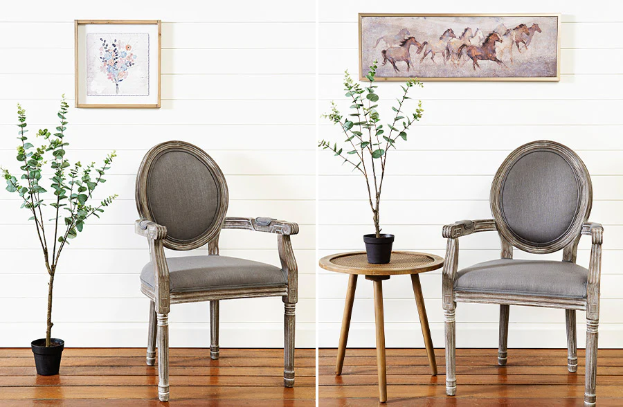 Potted Eucalyptus Tree, Pick Your Size