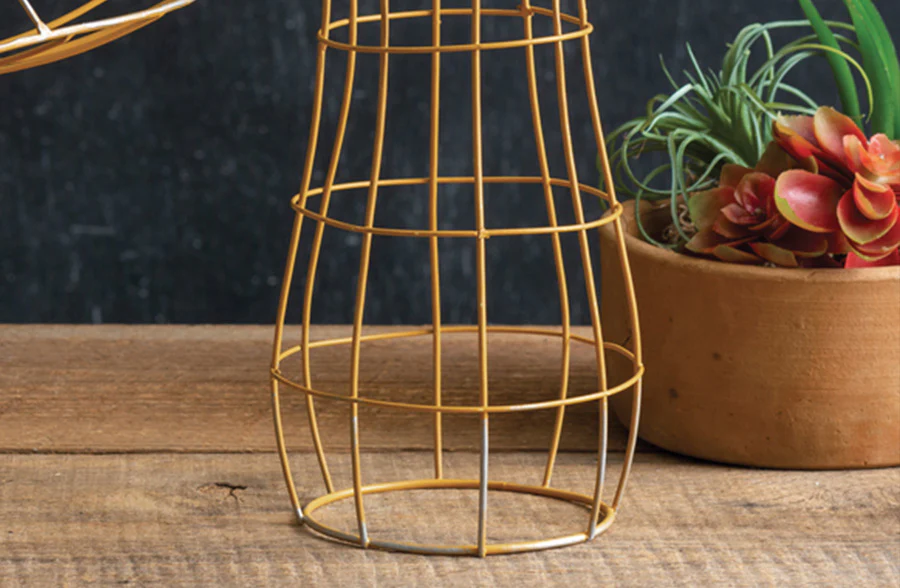 Portobello Garden Mushrooms, Set of 2