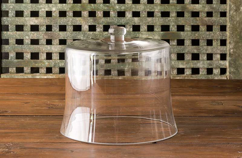 Vintage Inspired Glass Cloche