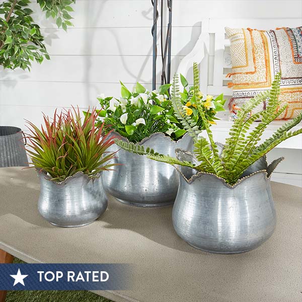 Scalloped Edge Galvanized Planters, Set of 3