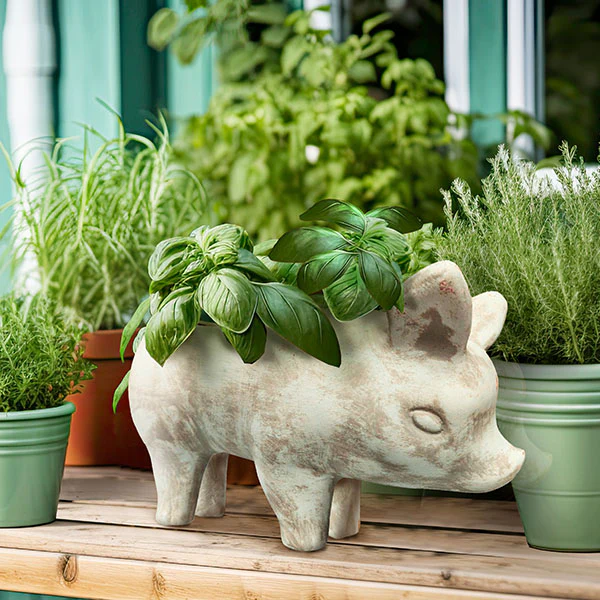 Clay Pig Planter Pot