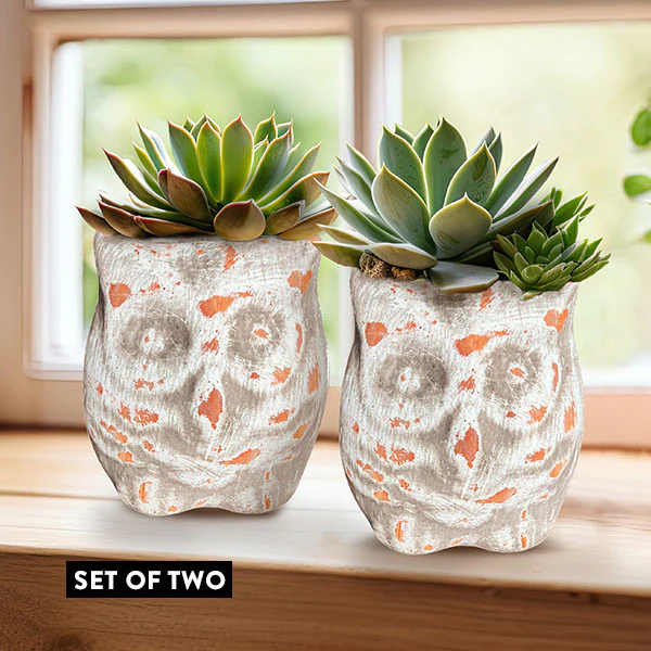 Terracotta Owl Pots, Set of 2