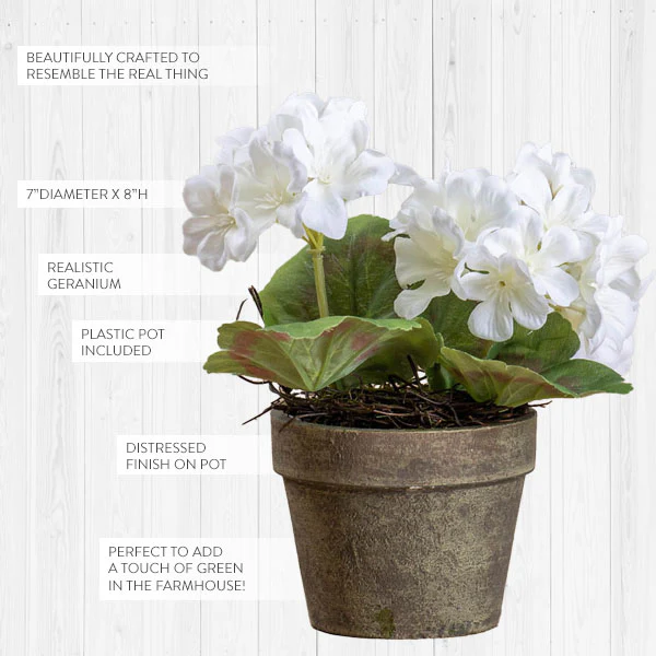 Lifelike Potted Geranium