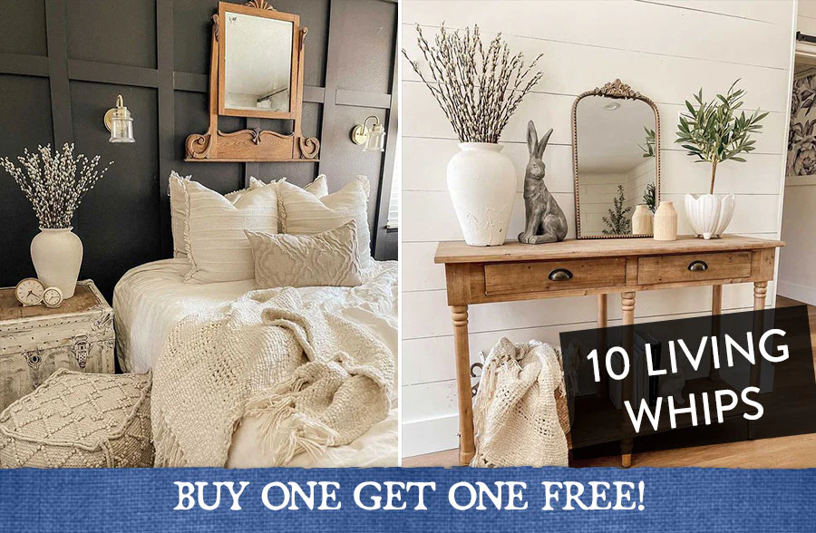 Live Pussy Willow Stem Bundle