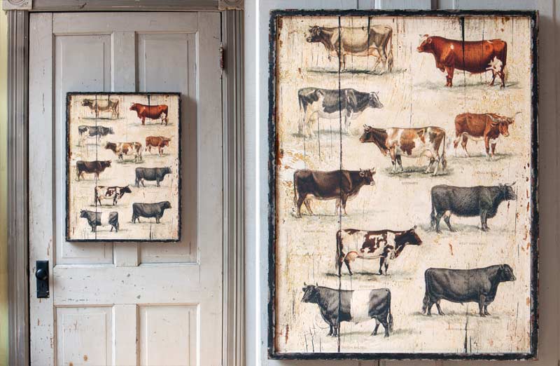 Framed Vintage Cow Picture