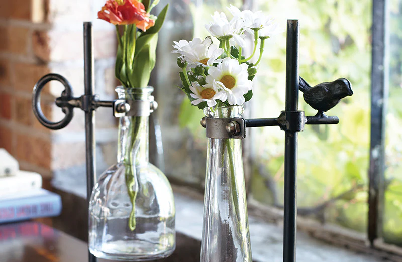 Test Tube Bud Vases, Set of 2