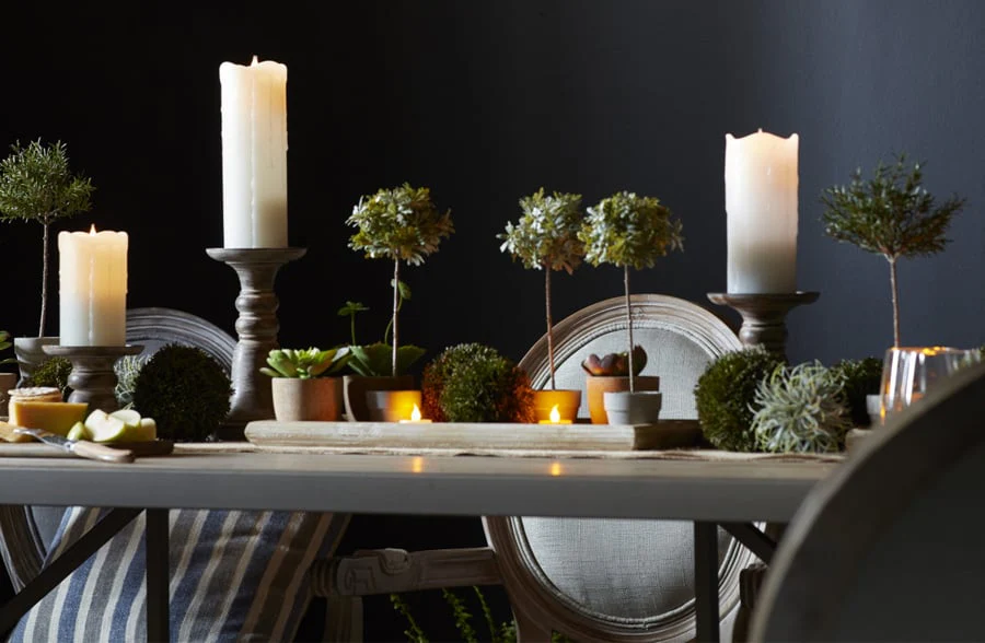 Potted Spruce with Pinecones, Pick Your Size