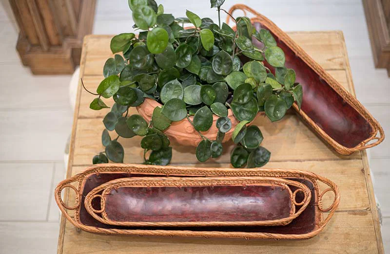 Long Rattan Trays  Set of 3