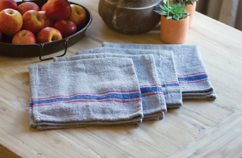 Cloth Table Napkins  Set of 4