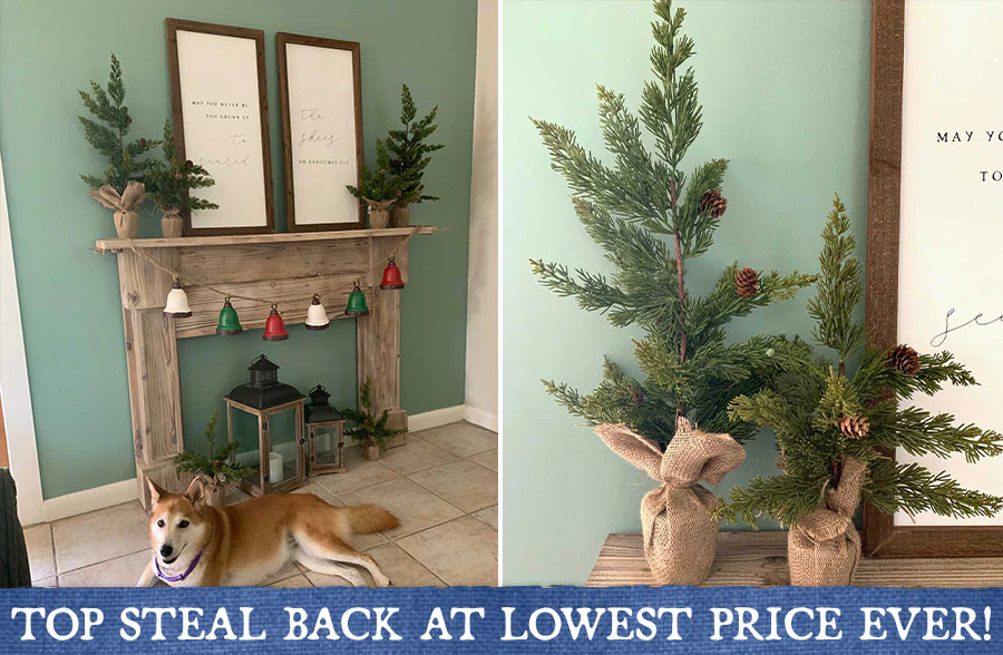 Pine Tree With Burlap Sack, Pick Your Size