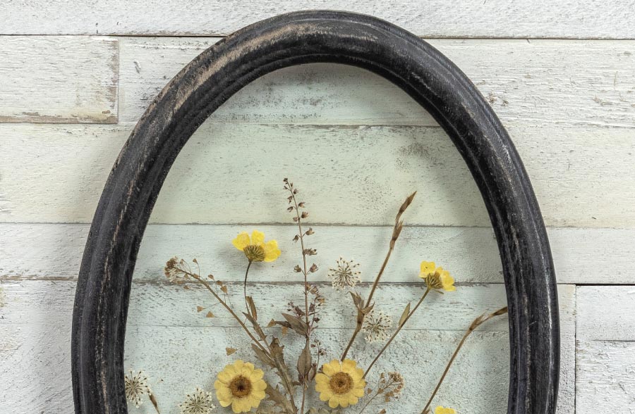 Black Oval Framed Pressed Botanicals