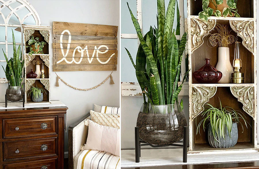 Glass Bulb Planter with Stand