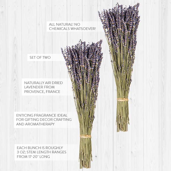 Dried Lavender Bunch, Set Of 2