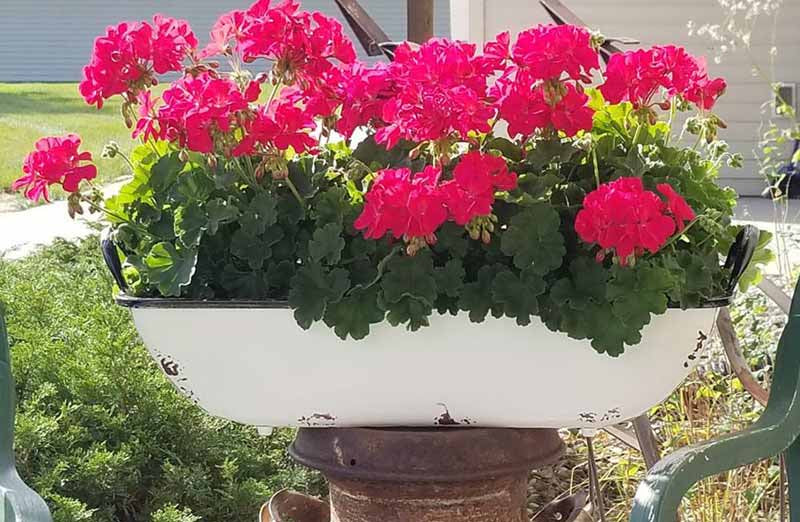 Distressed White Rectangle Enamel Tray