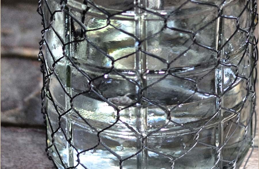 Large Chicken Wire Wrapped Bottle