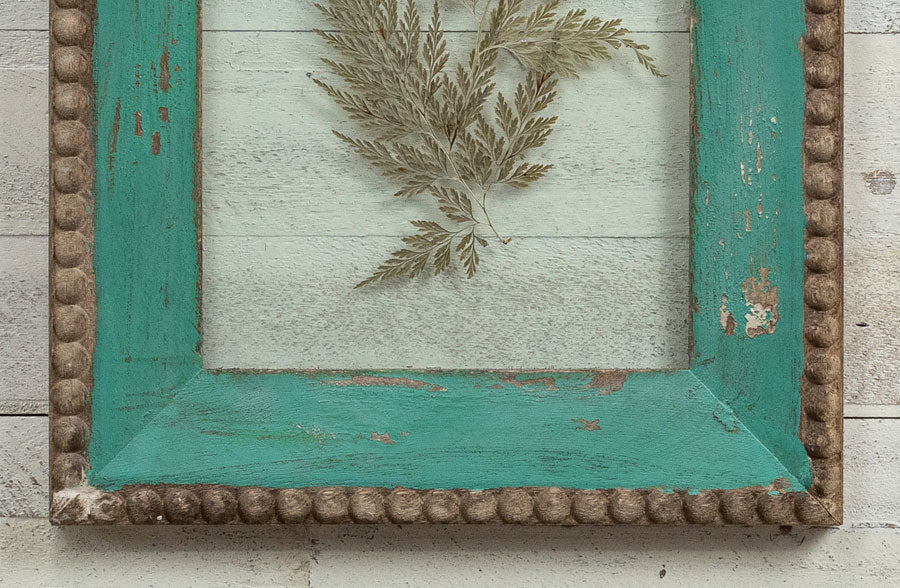 Green Framed Pressed Fern
