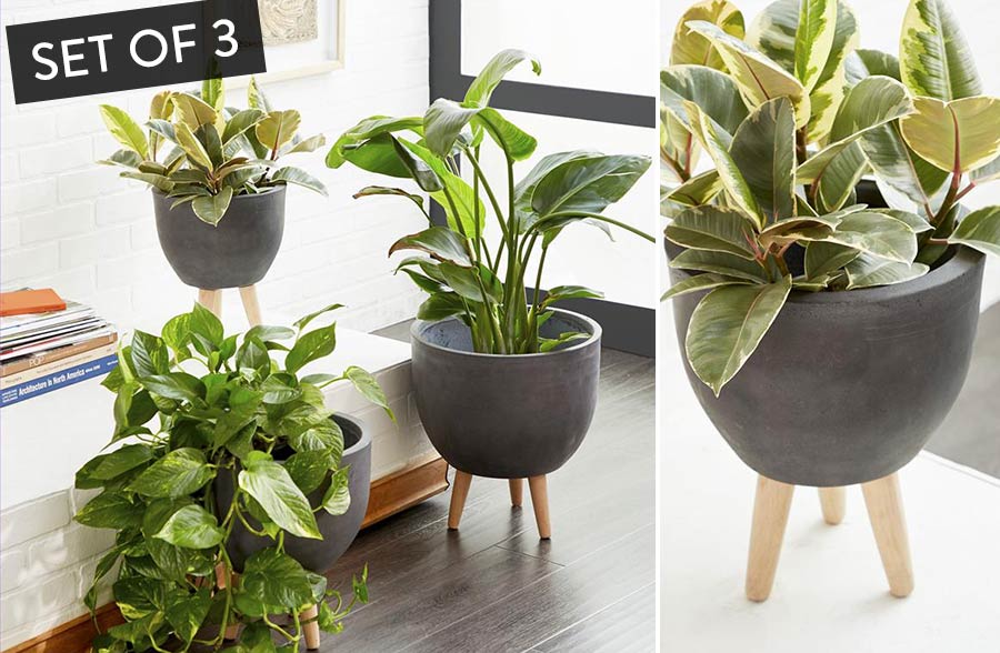 Weather-Resistant Charcoal Clay Tripod Planters, Set of 3