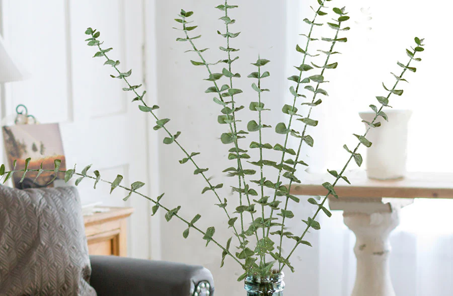 35 Inch Tall Eucalyptus Spray, Set of 3