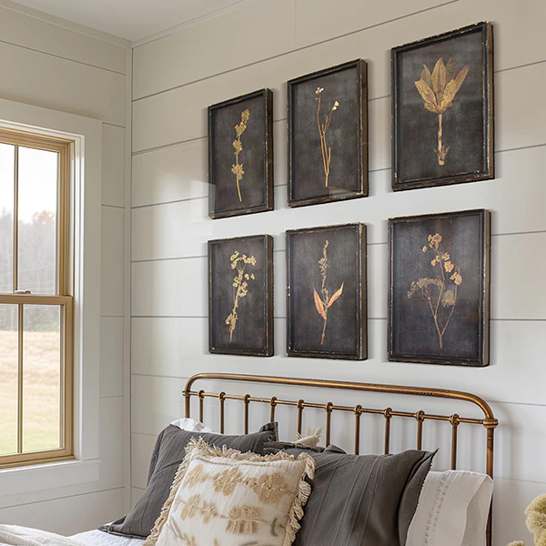 Glass Covered Botanical Prints, Set of 6