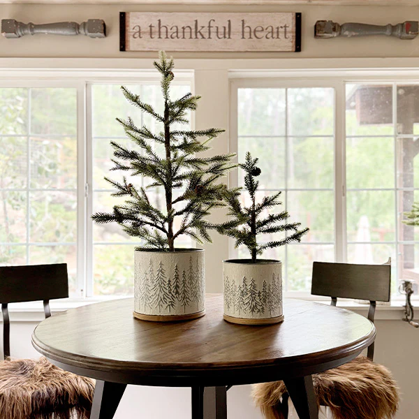 Snowy Scene Canisters with Lids, Set of 2