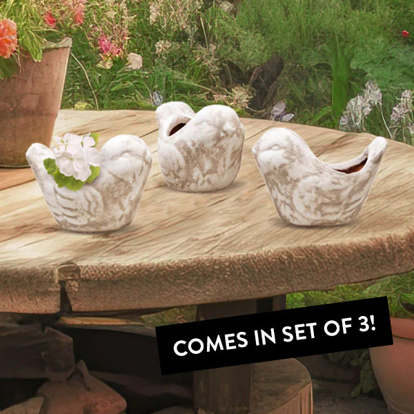 Bird Clay Pots, Set of 3