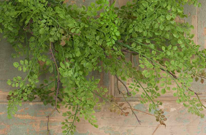 Maidenhair Fern Wreath