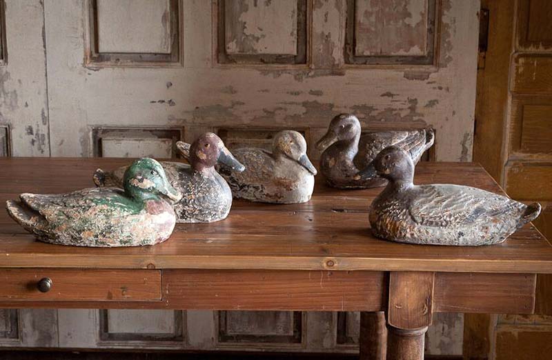 Rustic Distressed Decorative Duck Collection  Set of 5