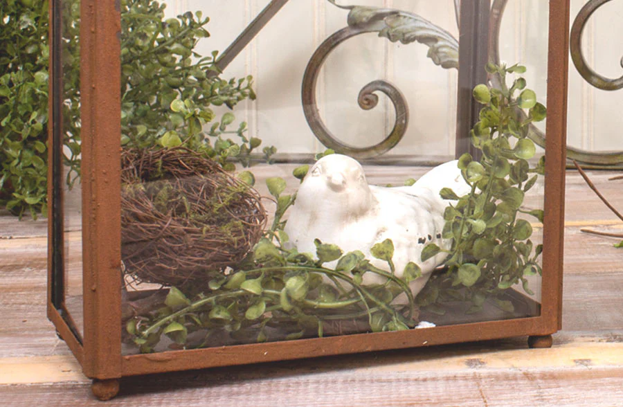 Set of 2 Rustic Glass Terrariums