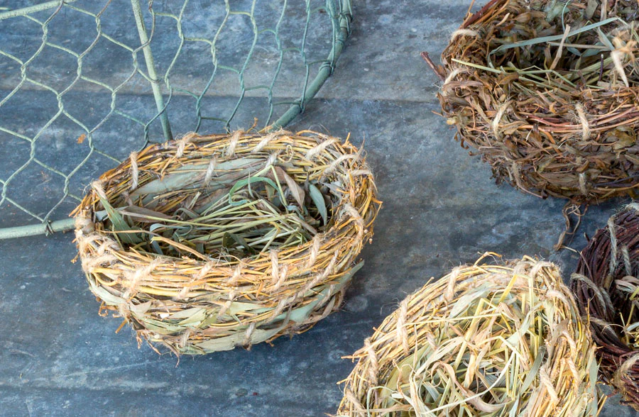 Natural Quail Bird Nests, Set Of 6