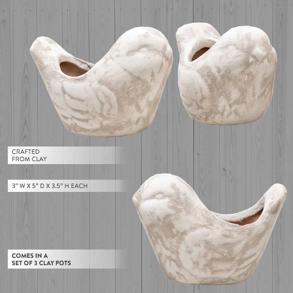 Bird Clay Pots, Set of 3