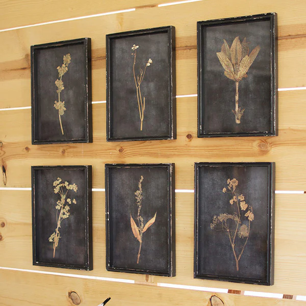 Glass Covered Botanical Prints, Set of 6