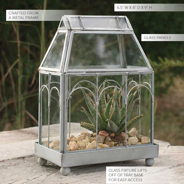 Tabletop Glass Terrarium