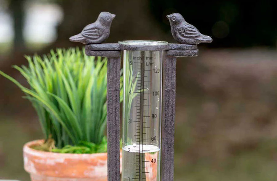 Perched Birds Rain Gauge