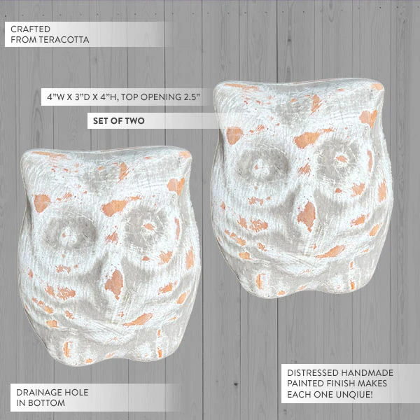 Terracotta Owl Pots, Set of 2