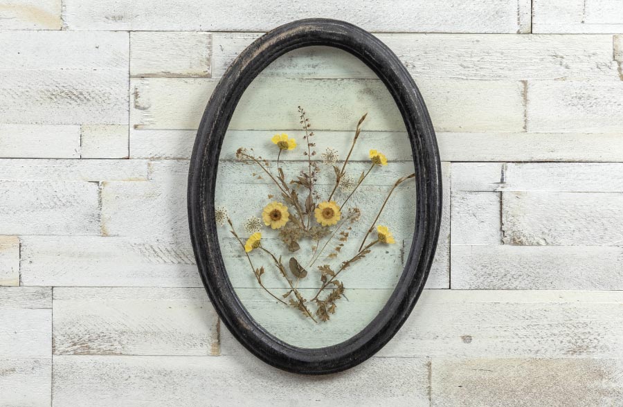 Black Oval Framed Pressed Botanicals
