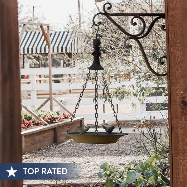 Hanging Bird Feeder With Bracket