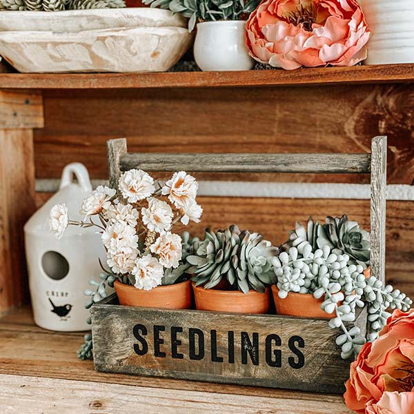 Vintage-Inspired Potting Caddy with Pots