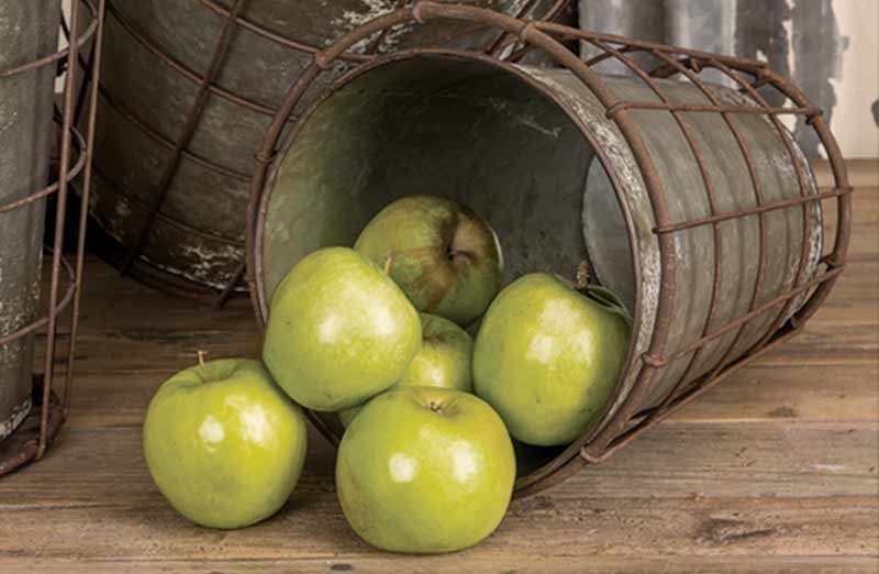 Wire Basket Bucket  Set of 3