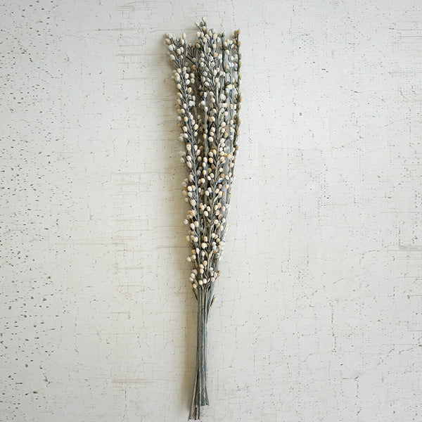 Dried Moti Sticks, Set of 6 Bundles