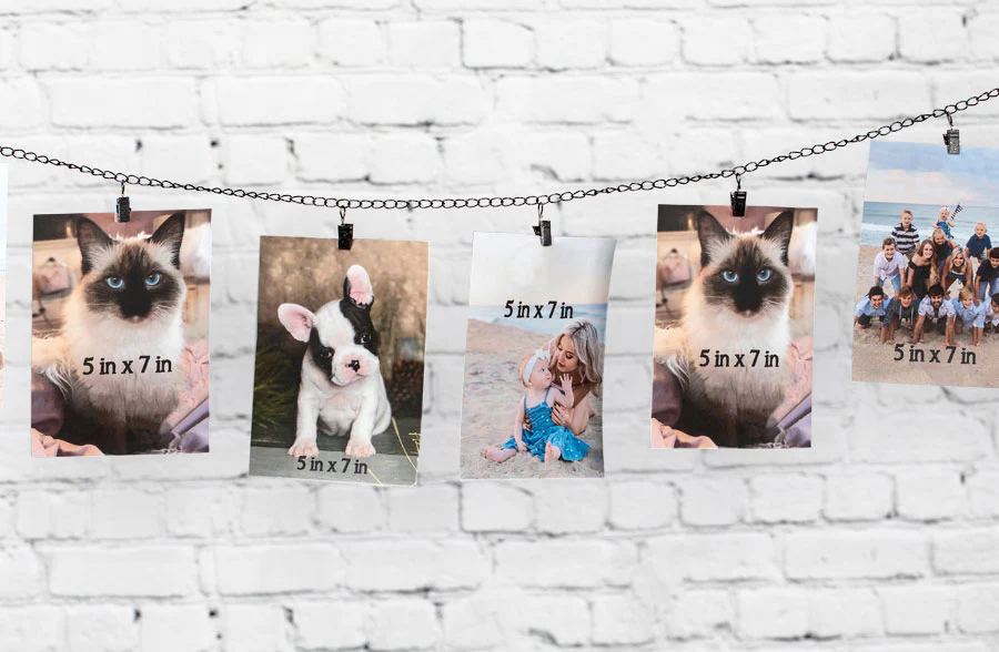 Photo Display Chain