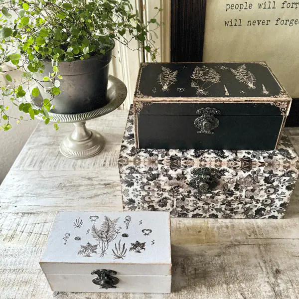 Vintage Botanical Decorative Storage Boxes, Set of 3