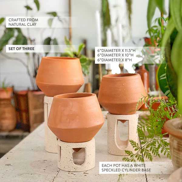 Clay Pot Planters with Speckled Stands, Set of 3