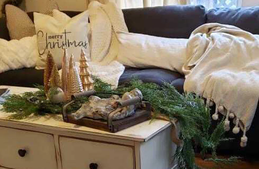 Pom Pom Fringe Throw