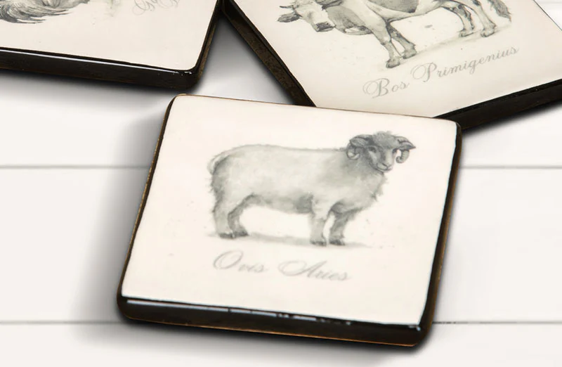 Farm Animal Coasters