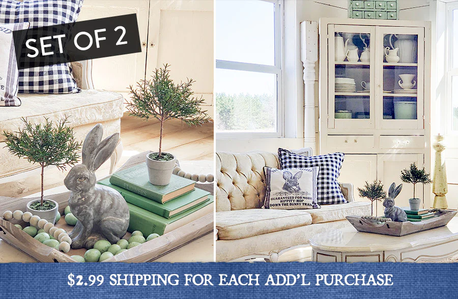 Potted Rosemary Plant, Set of 2