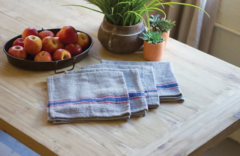 Cloth Table Napkins  Set of 4