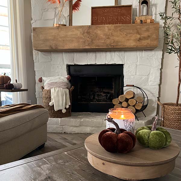 Harvest Velvet Pumpkin with Realistic-Looking Stem, Set of 2