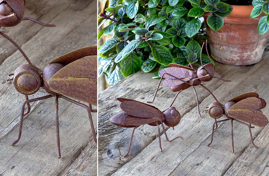 Collected Metal Insects, Set of 3