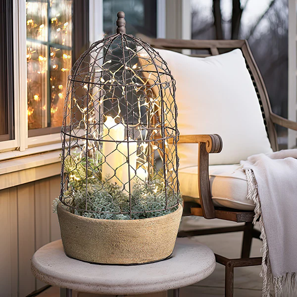 Chicken Wire Cloche with Terra Cotta Pot