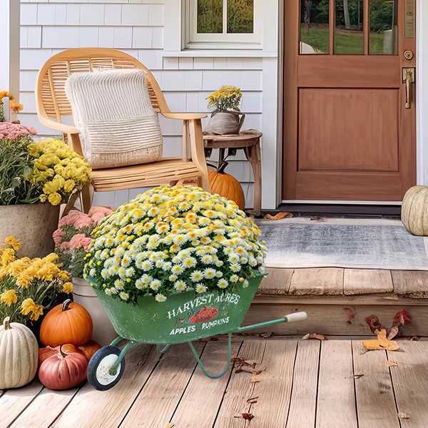 Harvest Acres Large Wheelbarrow Planter